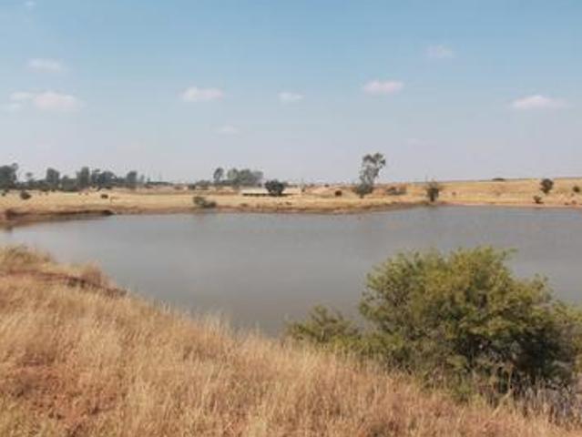 north west farm between potch and kl.