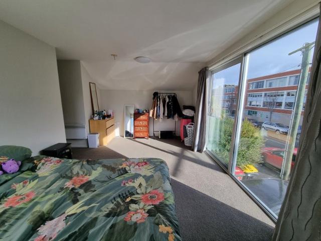 north dunedin, 1 bedroom