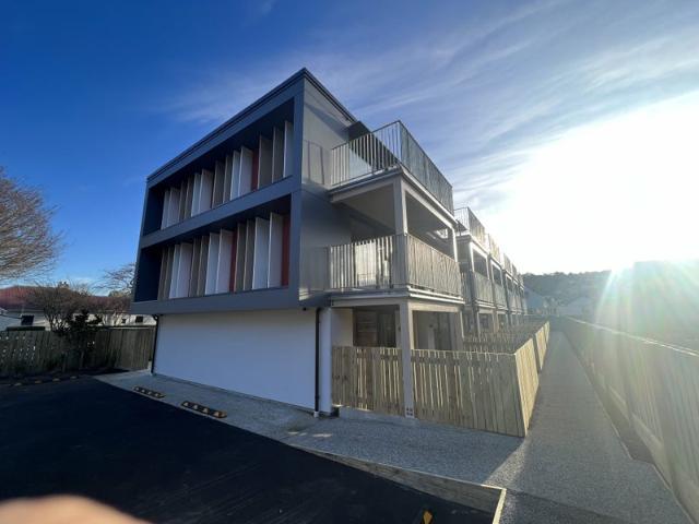 north dunedin, 1 bedroom