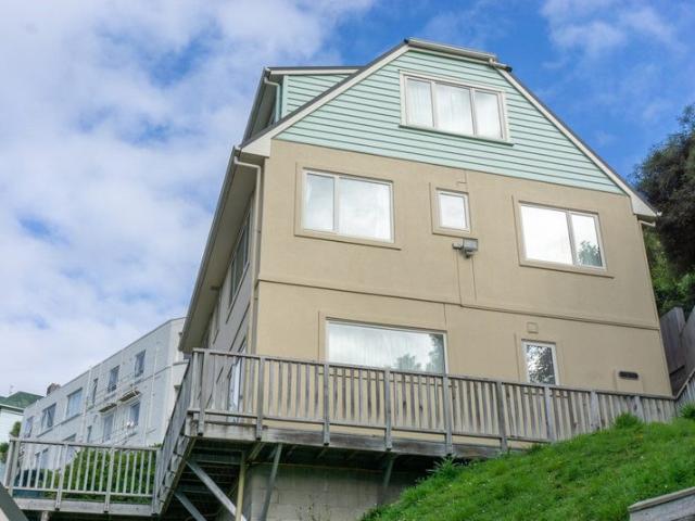 North Dunedin, 1 bedroom