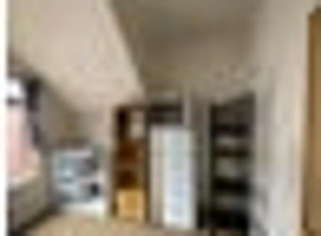 North Dunedin, 1 bedroom, $260 pw
