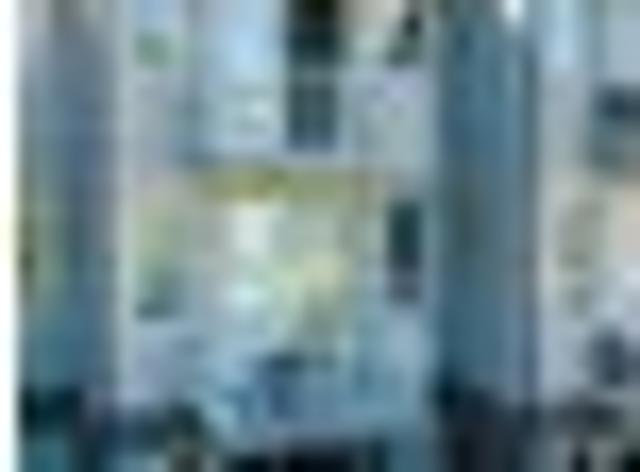 North Dunedin, 1 bedroom, $270 pw
