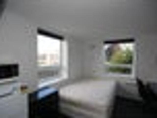 North Dunedin, 1 bedroom, $275 pw