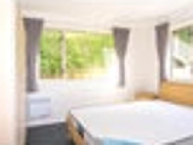 North Dunedin, 1 bedroom, $310 pw