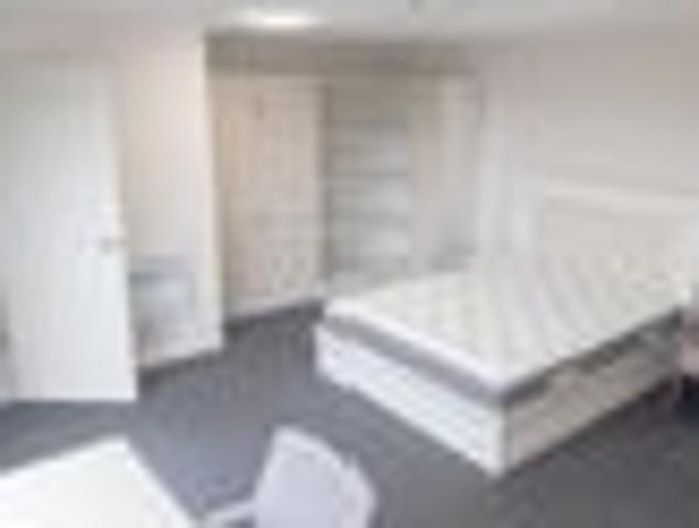 North Dunedin, 1 bedroom, $330 pw