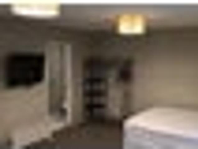 North Dunedin, 1 bedroom, $350 pw