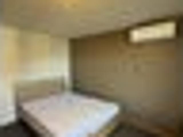 North Dunedin, 1 bedroom, $340 pw