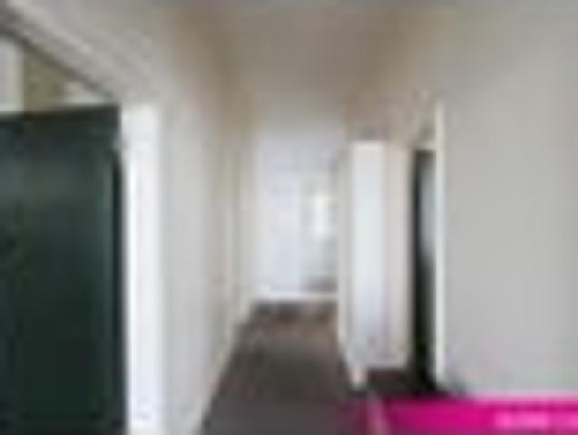 North Dunedin, 4 bedrooms, $700 pw