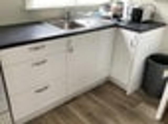 North Dunedin, 4 bedrooms, $820 pw