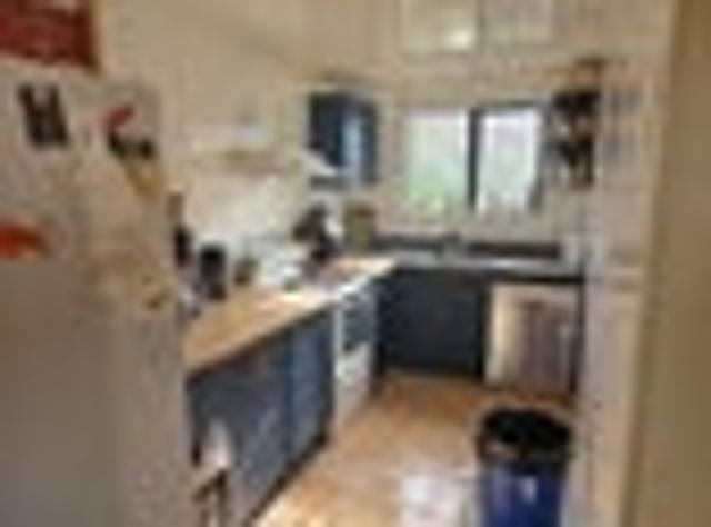 North Dunedin, 4 bedrooms, $840 pw