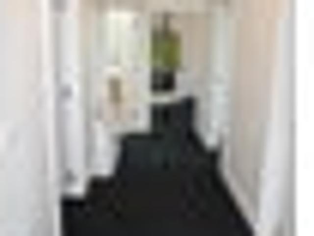 North Dunedin, 4 bedrooms, $920 pw