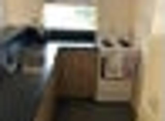 North Dunedin, 5 bedrooms, $1050 pw