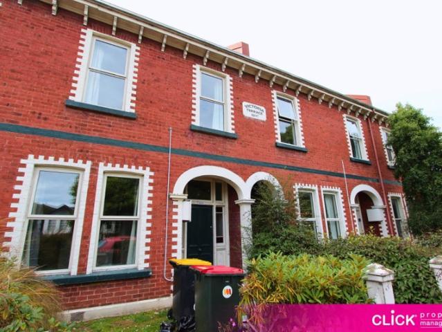 north dunedin, 5 bedrooms