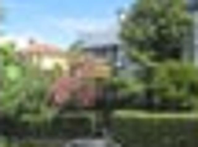 North Dunedin, 6+ bedrooms, $1260 pw