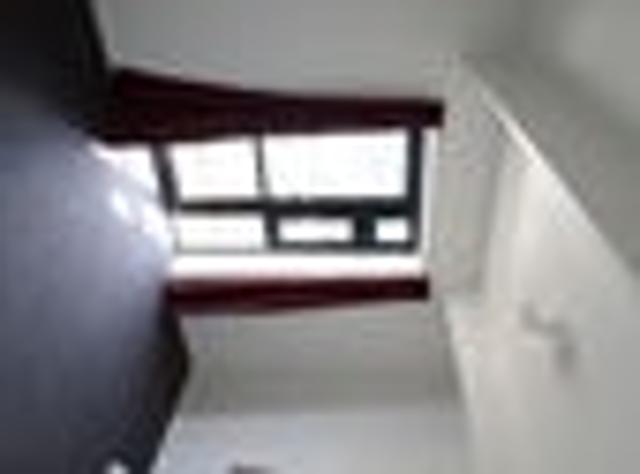 North Dunedin, 6+ bedrooms, $1320 pw