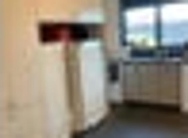 North Dunedin, 6+ bedrooms, $1600 pw