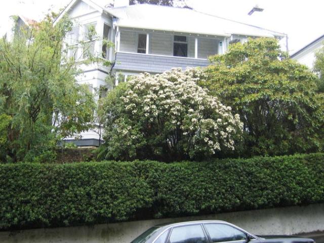 north dunedin, 6+ bedrooms