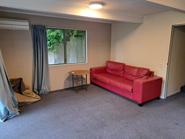 North Dunedin, 6+ bedrooms