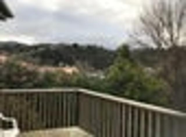 North East Valley, 4 bedrooms, $600 pw