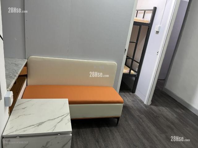 North Point Wing Shun Mansion [Agency Ads] High Floor 15 24|24/F Can Be Used As A Dormitory For Foreign Workers, With Beds Available For Rent Hints