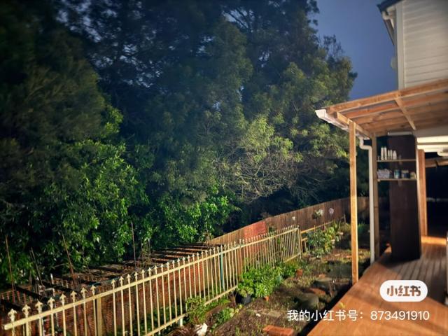 northcross, 1 bedroom