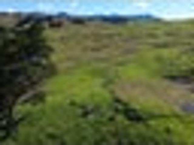 Northland Elevated Section for Sale