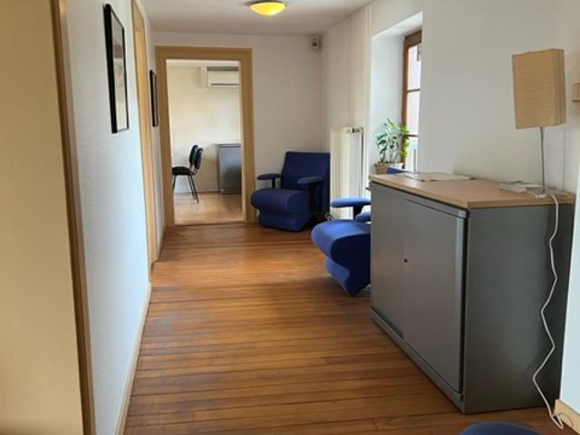 NORD OUEST DE STRASBOURG LOCAL PROFESSIONNEL!