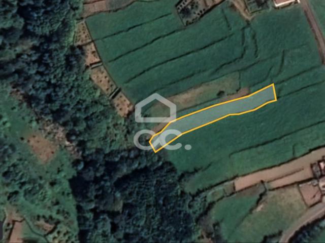 Nordeste Ilha de São Miguel 72102283