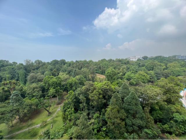 Normanton Park Condominium For Sale, $1,368,000, 2 Bed 1 Bath 667 sqft $2,051.00 psf