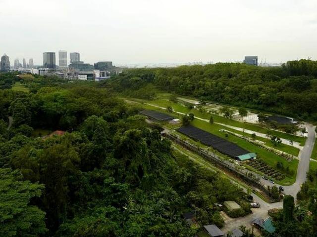 Normanton Park D5, Apartment