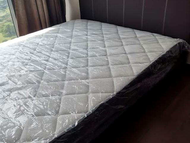 Normanton Park D5, Apartment