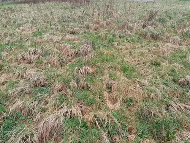 Normanville 76640 Achat / Vente terrain