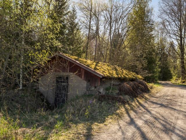 Norrål 105