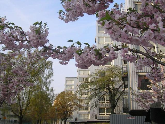 Norrby Tvärgata 14, 3 rum & kök