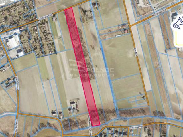 Noskowska 27 500 m², Kalisz