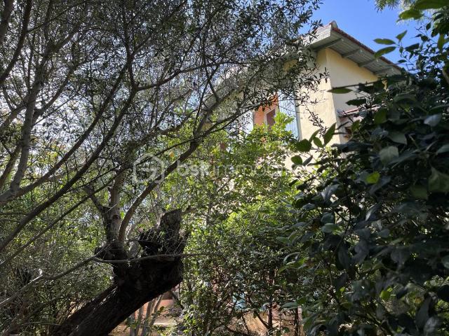 NOUVEAU EXCLUSIVITE MAISON LE REVEST LES EAUX