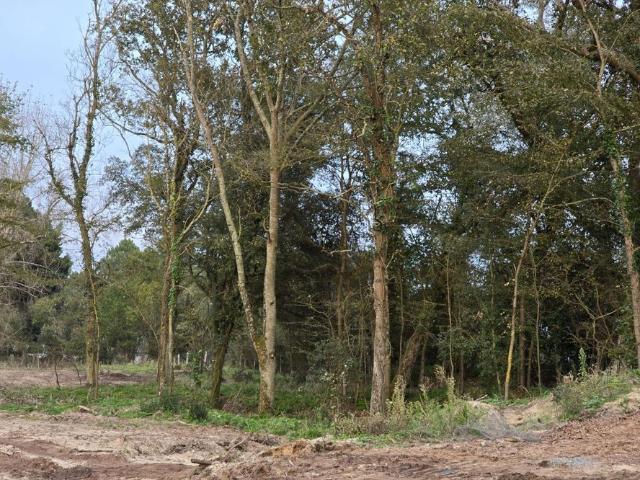 NOUVEAUTE LOTISSEMENT DE 8 LOTS ENVIRONNEMENT BOISE ET CALME