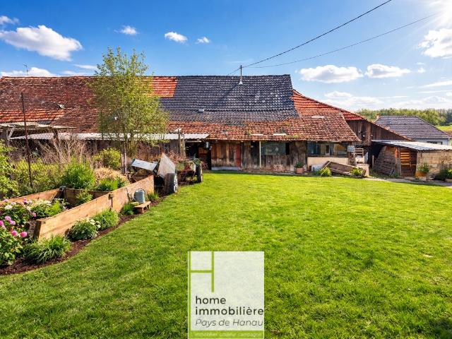 Nouveauté rare, maison alsacienne +150m2 + dépendances +1000m2