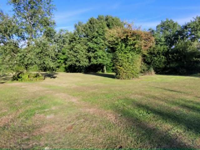 Nouaillé Maupertuis Vente Terrain 86