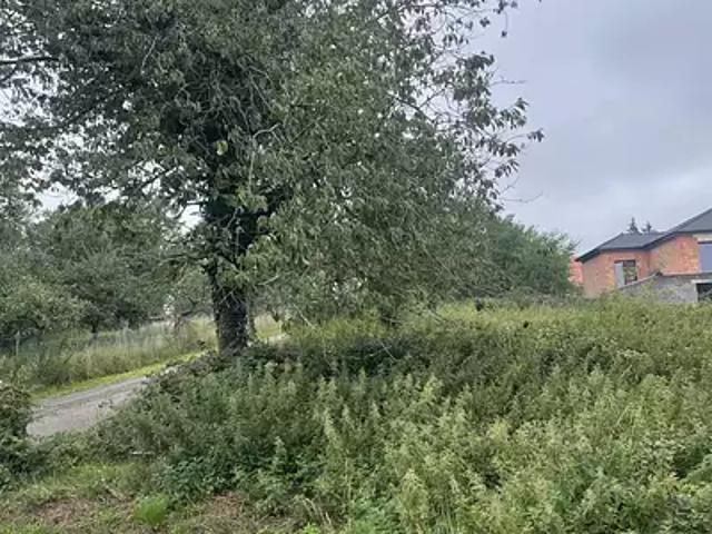 Nousseviller Saint Nabor 57990 Achat / Vente terrain