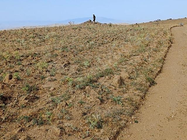 NOVA'DAN ÇUBUK KÜÇÜKALİDE,MERA YANINDA 7790 M2 TARLAFİYAT DÜŞTÜ