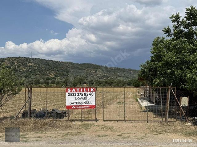 NOVARİ'DEN MUĞLA MİLAS KUZYAKADA YATIRIM VE TARIMI SUNAN FIRSAT