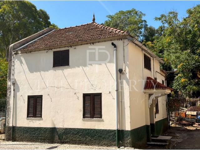 NOVIDADE MORADIA T2 CAMPOLIDE