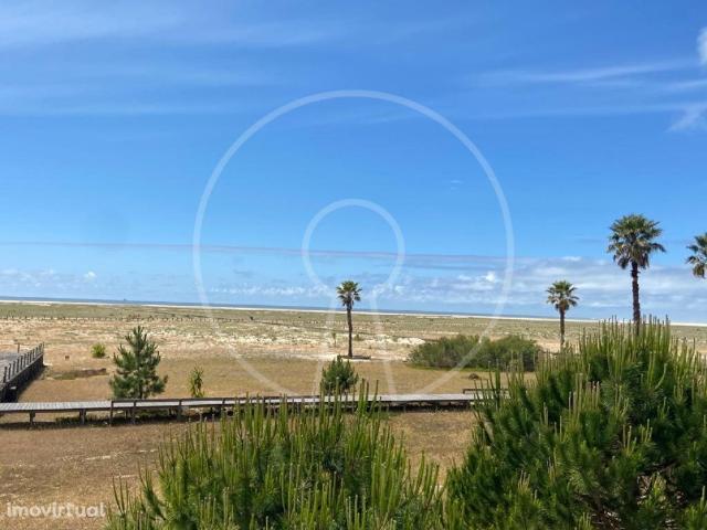 Novo T1 na Figueira da Foz