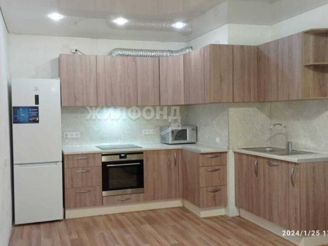 Новосибирск, Первомайский, Одоевского ул,1/10