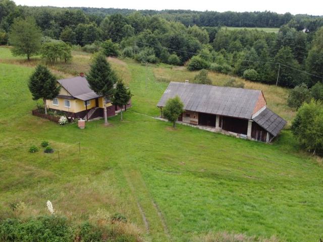 Nowy Borek, 120 m2
