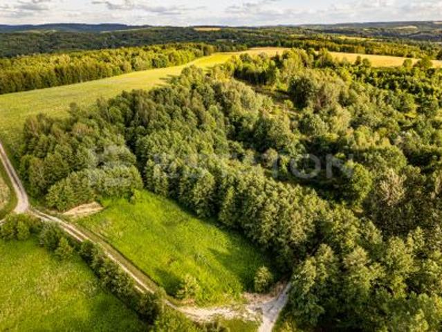 Nowy Borek, 12793 m² Działka