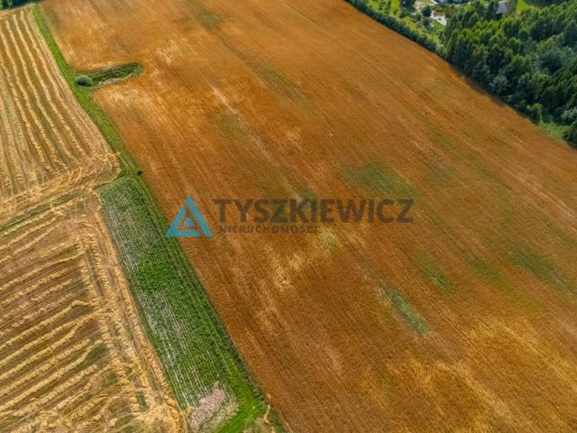 Nowy Klincz, 3 000 m2