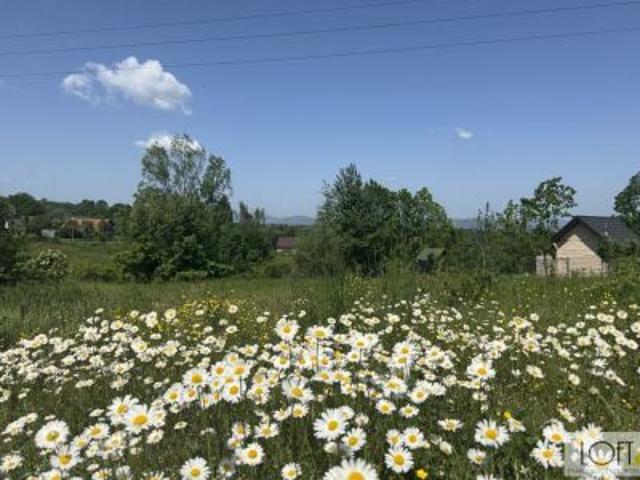 Nowy Sącz, Poręba Mała, ul. Sołecka, 970 m² Działka