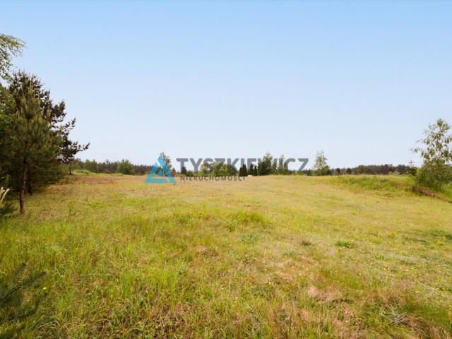 Nowa Kiszewa, 1 500 m2